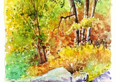 Corso Acquarello Genova Livello base. Soggetto: Paesaggio alberi